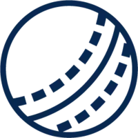 Cricket betting icon